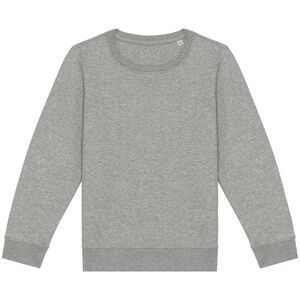 Native Spirit Childrens/Kids Sweatshirt / Moon Grey Heather